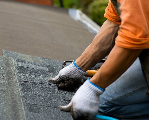 Best Storm Damage Roof Repair  in Catawba, SC